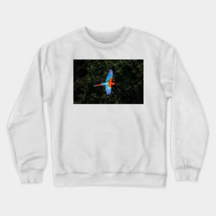 Red-and-green macaw at Buraco das Araras, Brazil Crewneck Sweatshirt